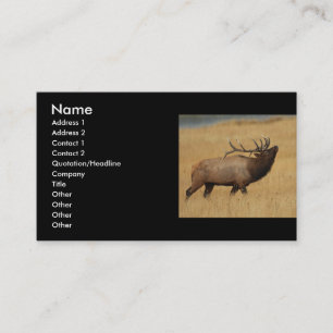Profil oder Visitenkarte, Elch Visitenkarte