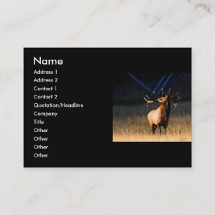 Profil oder Visitenkarte, Elch Visitenkarte