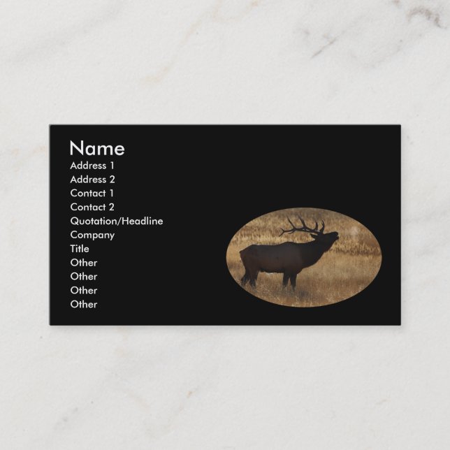Profil oder Visitenkarte, Elchsignalhorn Visitenkarte (Vorderseite)