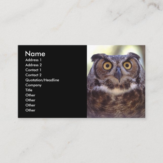 Profil oder Visitenkarte, Eule Visitenkarte (Vorderseite)