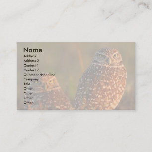Profil oder Visitenkarte, Eulen grabend Visitenkarte