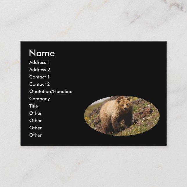 Profil oder Visitenkarte, Grizzlybär Visitenkarte (Vorderseite)