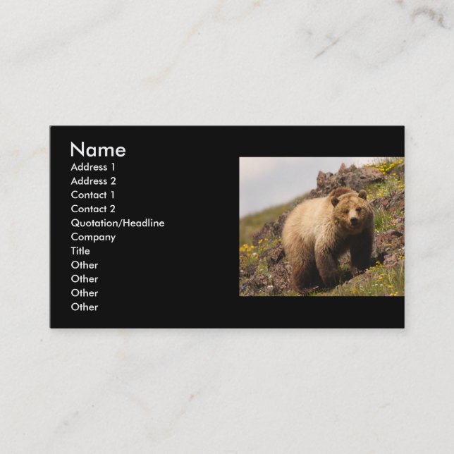 Profil oder Visitenkarte, Grizzlybär Visitenkarte (Vorderseite)