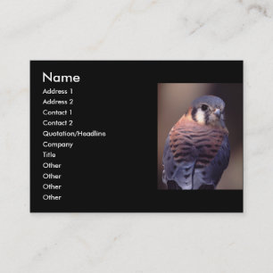 Profil oder Visitenkarte, Kestrel Visitenkarte