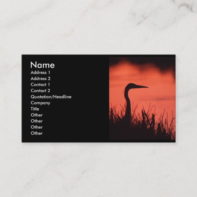 Profil oder Visitenkarte, Reiher Visitenkarte (Vorderseite)