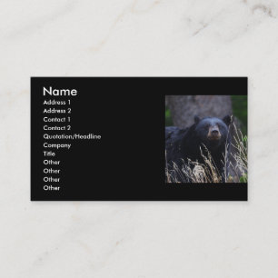 Profil oder Visitenkarte, schwarzer Bär Visitenkarte