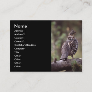 Profil oder Visitenkarte, Waldhuhn Visitenkarte