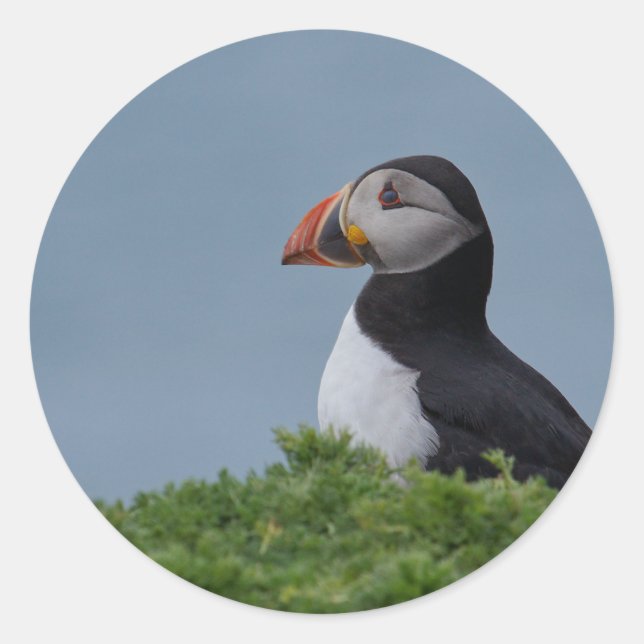Profil Puffin Runder Aufkleber (Vorderseite)