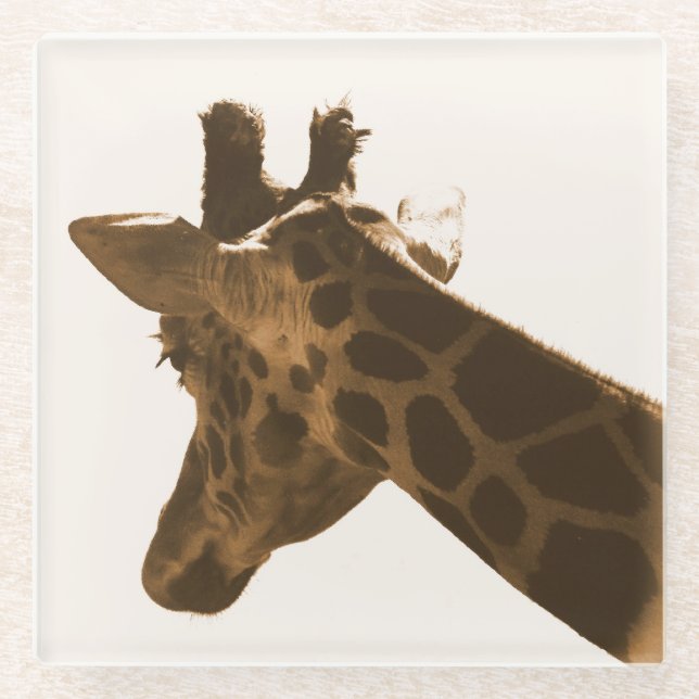 Profil Reticulate Giraffe Glasuntersetzer (Vorderseite)
