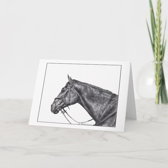 Profil von Sullivan Karte (Vorderseite)