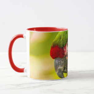 Profile of macaw at Santa Barbara Zoo Tasse