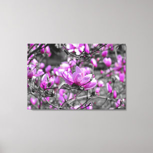 Profuse Magnolia Blooms Triptych Leinwanddruck