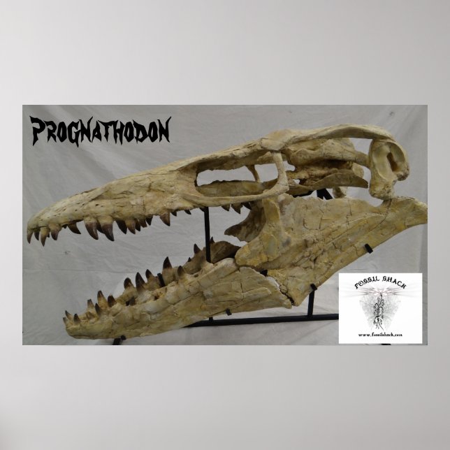 Prognathodon Mosasaur Poster (Vorne)
