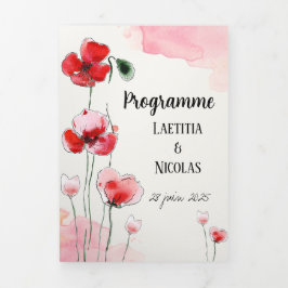 Programm "Zölikots"