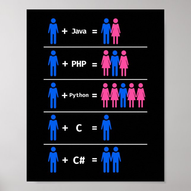 Programmer Coding C Python PHP Java Attracts Men Poster (Vorne)