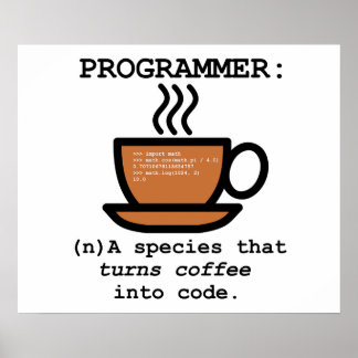 Programmierdefinition Funny Poster