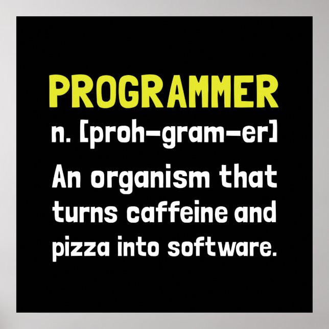 Programmierdefinition Poster (Vorne)