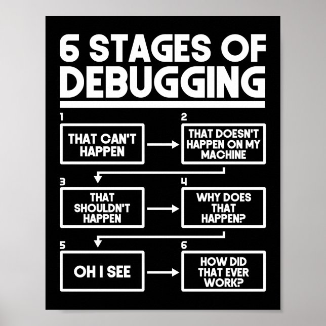 Programmieren von 6 Bühnen des Debuggens Poster (Vorne)