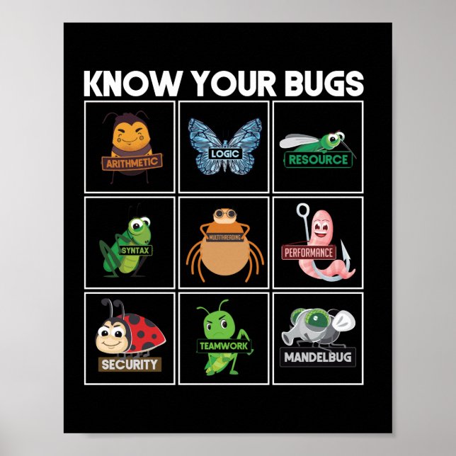 Programmieren von Bugs Poster (Vorne)