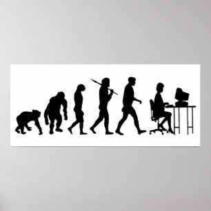 Programmierer Geschäftsanalysten Sekretariatsmitar Poster