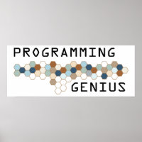 Programmiergenie