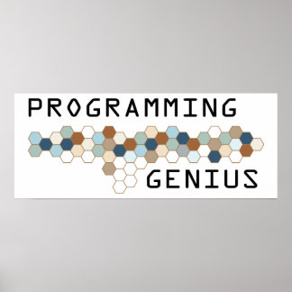 Programmiergenie Poster