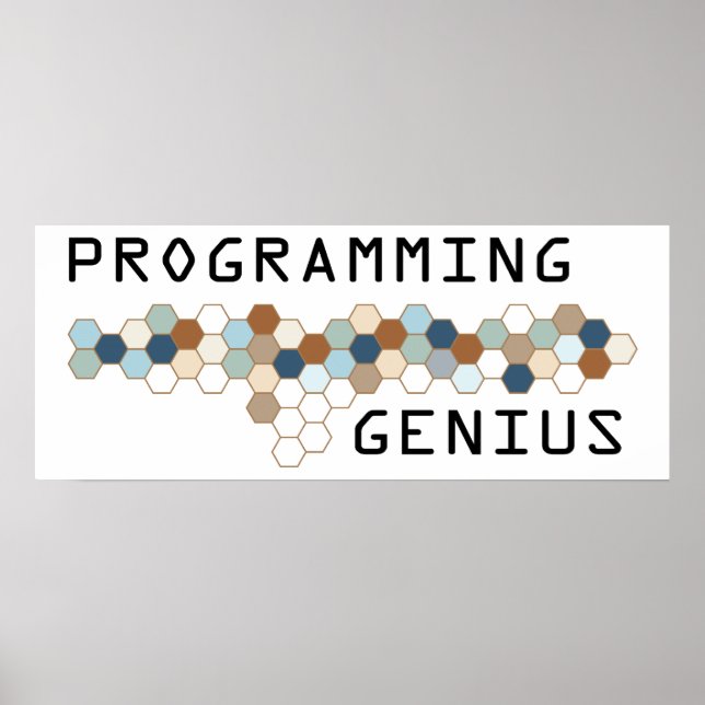 Programmiergenie Poster (Vorne)