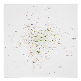 Programming Languages Einfluss Network 2021 Poster