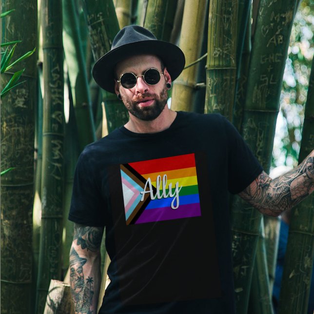 Progress Pride Flag-Allianz T-Shirt (Tees are a great way to show your allyship!)