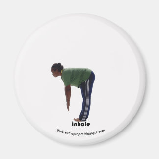 Projekt 4 von 12 magnet