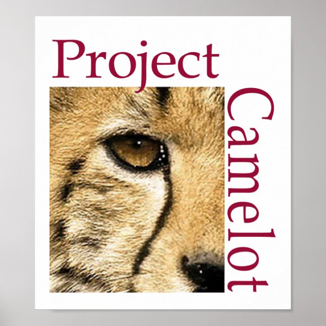 Projekt-Camelot-Logo-Poster Poster (Vorne)
