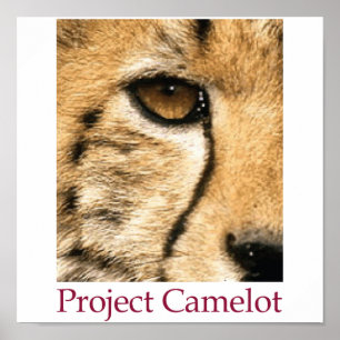 Projekt Camelot Poster