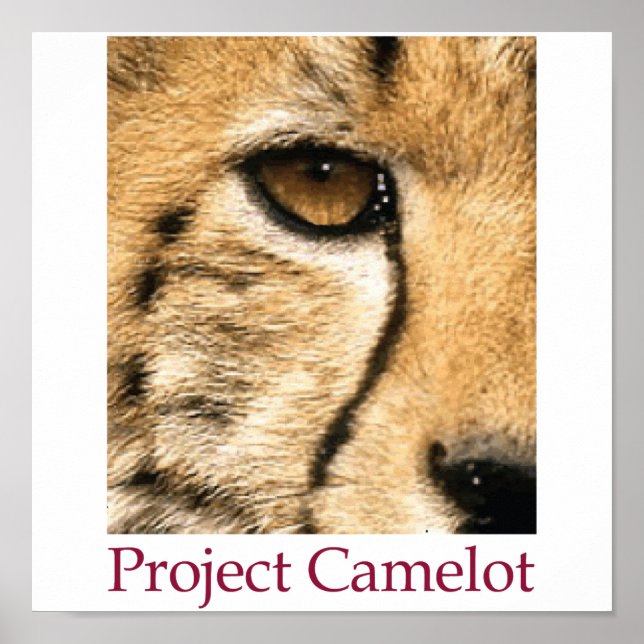 Projekt Camelot Poster (Vorne)