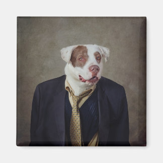 Projekt für Unterkünfte in Casanova Magnet