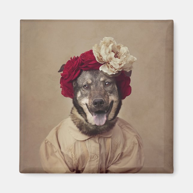 Projekt "Unterbringung von Heimtieren" - Frau Smit Magnet (Vorne)