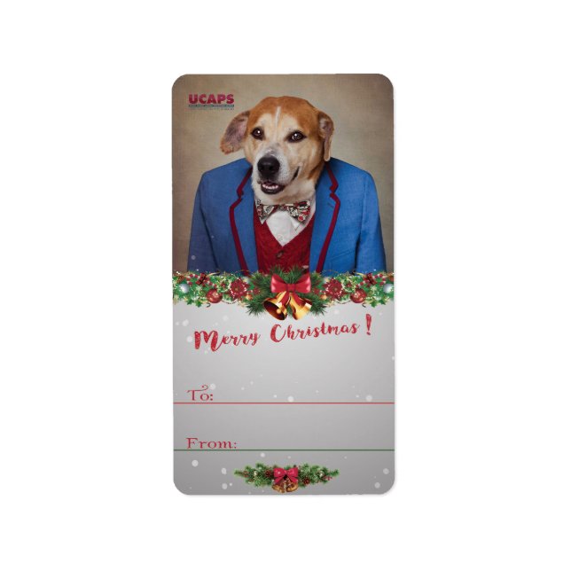 Projekt zur Unterbringung von Haustieren - Chopper Adressaufkleber (Vorne)