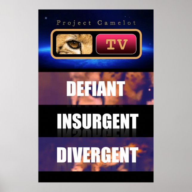 PROJEKTKAMELOT POSTER (Vorne)