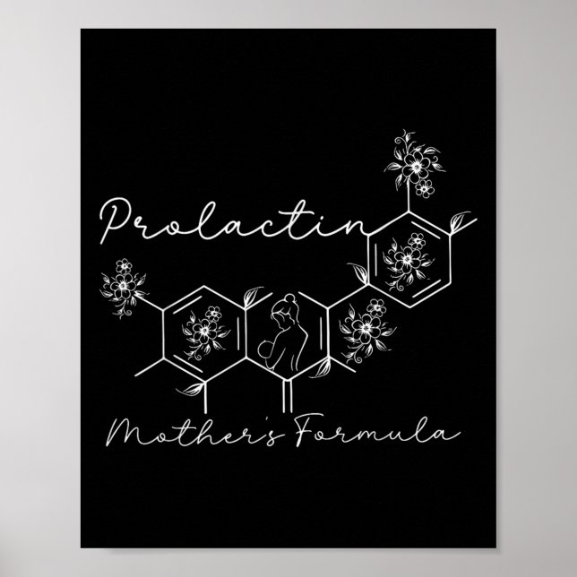 Prolactin Mothers Formula Lactation Nurse Labor An Poster (Vorne)