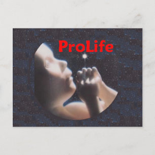 ProLife Postkarte