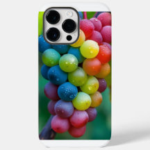 "ProMax Armor: Premium-Schutz für Ihr iPhone