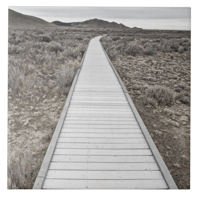 Promenade durch die Wüste Fliese (Vorderseite)