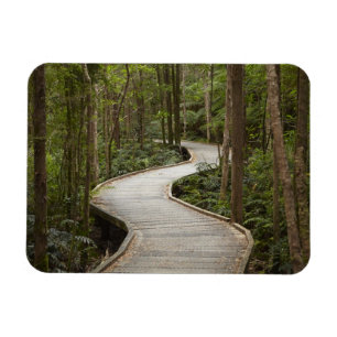 Promenade nach Nelson Falls, Franklin - Gordon Magnet