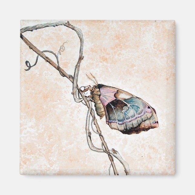 Promethea Moth Magnet (Vorne)