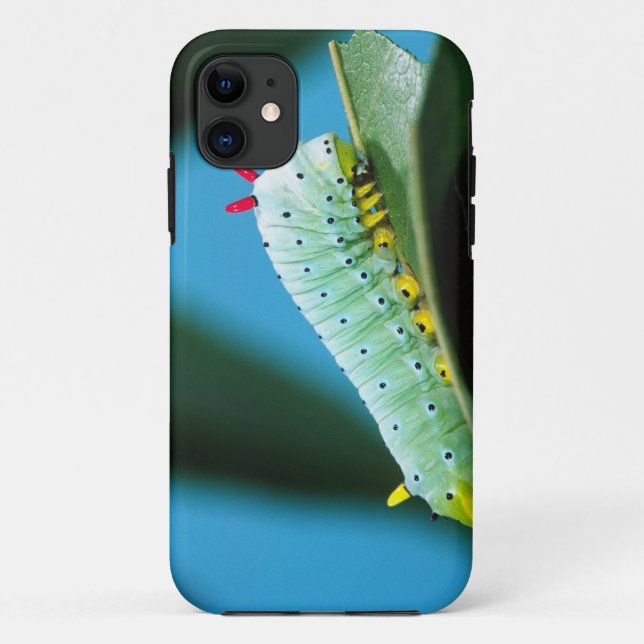 Prometheus-Mottenraupe, Callosamia Case-Mate iPhone Hülle (Rückseite)