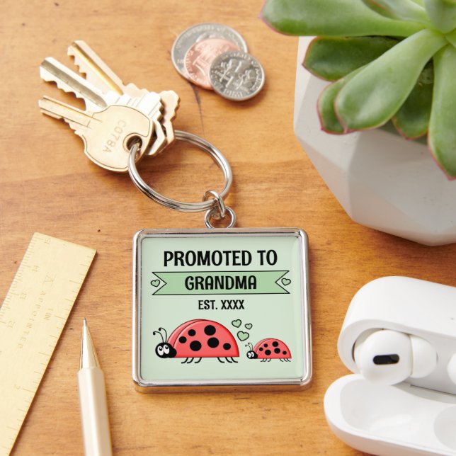 Promoted to Grandma ladybugs green Schlüsselanhänger (Schreibtisch)