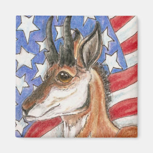 Pronghorn Antelope Americana Arte e Cultura Magnet