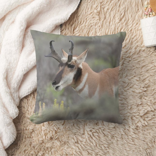 Pronghorn Antelope Buck | Grand Tetons Kissen (Decke)