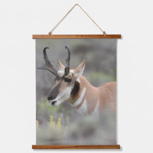 Pronghorn Antelope Buck   Grand Tetons Wandteppich Mit Holzrahmen