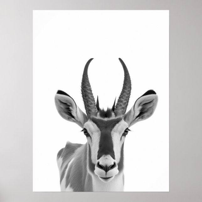 Pronghorn Antelope Desert Animal Portrait Poster (Vorne)