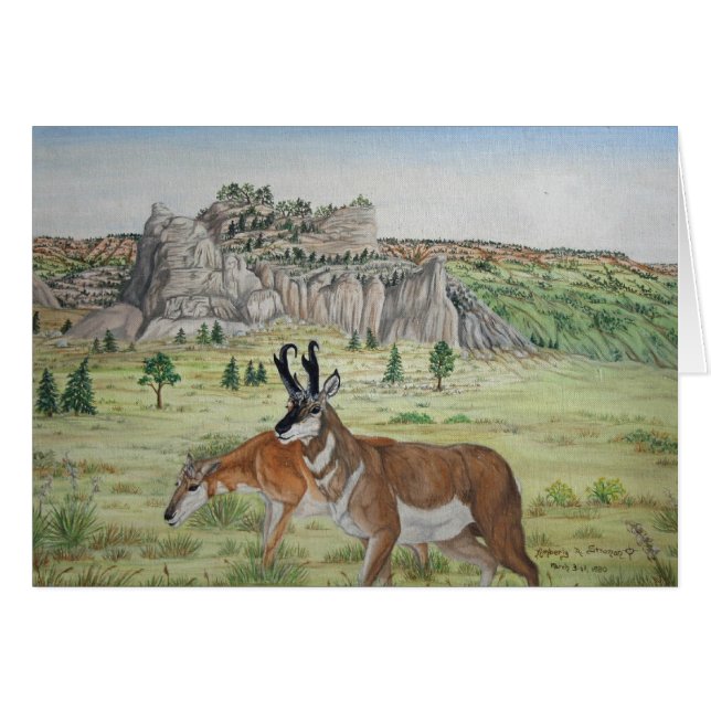 Pronghorn Antilopen-Tier-Kunst (Vorderseite (Horizontal))
